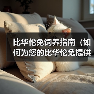 比华伦兔饲养指南(如何为您的比华伦兔提供最佳的照顾)(图2) 比华伦兔饲养指南(如何为您的比华伦兔提供最佳的照顾)(图2)