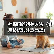 社田鼠的饲养方法(实用技巧和注意事项)(图3) 社田鼠的饲养方法(实用技巧和注意事项)(图3)