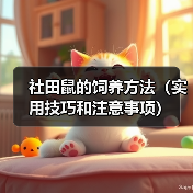 社田鼠的饲养方法(实用技巧和注意事项)(图1) 社田鼠的饲养方法(实用技巧和注意事项)(图1)