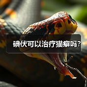 碘伏可以治疗猫癣吗?(图1) 碘伏可以治疗猫癣吗?(图1)