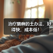 治疗猫癣的土办法,好得快,成本低!(图3) 治疗猫癣的土办法,好得快,成本低!(图3)