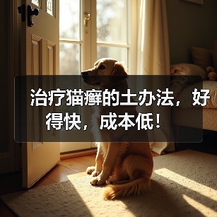 治疗猫癣的土办法,好得快,成本低!(图1) 治疗猫癣的土办法,好得快,成本低!(图1)