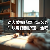 幼犬被冻感冒了怎么办?从用药到护理,全程干货(图1) 幼犬被冻感冒了怎么办?从用药到护理,全程干货(图1)