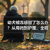 幼犬被冻感冒了怎么办?从用药到护理,全程干货(图2) 幼犬被冻感冒了怎么办?从用药到护理,全程干货(图2)