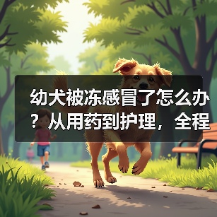 幼犬被冻感冒了怎么办?从用药到护理,全程干货(图4) 幼犬被冻感冒了怎么办?从用药到护理,全程干货(图4)