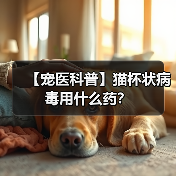 【宠医科普】猫杯状病毒用什么药?(图4) 【宠医科普】猫杯状病毒用什么药?(图4)