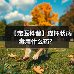 【宠医科普】猫杯状病毒用什么药?(图2) 【宠医科普】猫杯状病毒用什么药?(图2)