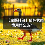 【宠医科普】猫杯状病毒用什么药?(图3) 【宠医科普】猫杯状病毒用什么药?(图3)