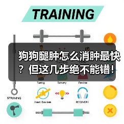 狗狗腿肿怎么消肿最快?但这几步绝不能错!(图4) 狗狗腿肿怎么消肿最快?但这几步绝不能错!(图4)