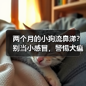 两个月的小狗流鼻涕?别当小感冒,警惕犬瘟“夺命符”!(图3) 两个月的小狗流鼻涕?别当小感冒,警惕犬瘟“夺命符”!(图3)