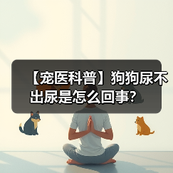 【宠医科普】狗狗尿不出尿是怎么回事?(图4) 【宠医科普】狗狗尿不出尿是怎么回事?(图4)