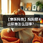【宠医科普】狗狗尿不出尿是怎么回事？