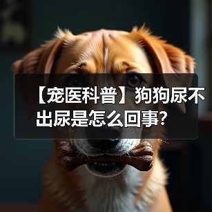 【宠医科普】狗狗尿不出尿是怎么回事?(图2) 【宠医科普】狗狗尿不出尿是怎么回事?(图2)