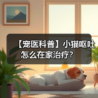 【宠医科普】小猫呕吐怎么在家治疗?(图4) 【宠医科普】小猫呕吐怎么在家治疗?(图4)
