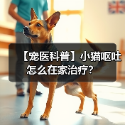 【宠医科普】小猫呕吐怎么在家治疗?(图3) 【宠医科普】小猫呕吐怎么在家治疗?(图3)