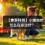 【宠医科普】小猫呕吐怎么在家治疗?(图1) 【宠医科普】小猫呕吐怎么在家治疗?(图1)