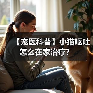 【宠医科普】小猫呕吐怎么在家治疗?(图2) 【宠医科普】小猫呕吐怎么在家治疗?(图2)