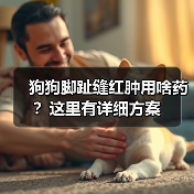 狗狗脚趾缝红肿用啥药?这里有详细方案(图2) 狗狗脚趾缝红肿用啥药?这里有详细方案(图2)