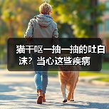猫干呕一抽一抽的吐白沫?当心这些疾病(图4) 猫干呕一抽一抽的吐白沫?当心这些疾病(图4)
