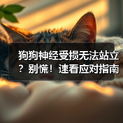 狗狗神经受损无法站立？别慌！速看应对指南（图2）