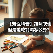 【宠医科普】猫咪软便但是能吃能喝怎么办？