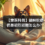 【宠医科普】猫咪软便但是能吃能喝怎么办?(图4) 【宠医科普】猫咪软便但是能吃能喝怎么办?(图4)