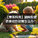【宠医科普】猫咪软便但是能吃能喝怎么办?(图2) 【宠医科普】猫咪软便但是能吃能喝怎么办?(图2)