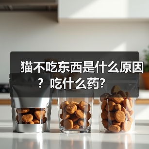 猫不吃东西是什么原因?吃什么药?(图2) 猫不吃东西是什么原因?吃什么药?(图2)