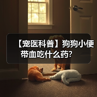 【宠医科普】狗狗小便带血吃什么药?(图2) 【宠医科普】狗狗小便带血吃什么药?(图2)