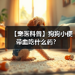 【宠医科普】狗狗小便带血吃什么药?(图3) 【宠医科普】狗狗小便带血吃什么药?(图3)