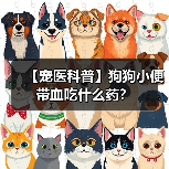 【宠医科普】狗狗小便带血吃什么药?(图4) 【宠医科普】狗狗小便带血吃什么药?(图4)