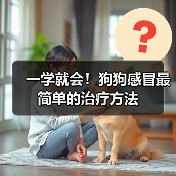 一学就会！狗狗感冒最简单的治疗方法（图2）
