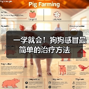一学就会！狗狗感冒最简单的治疗方法（图3）