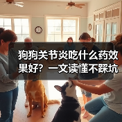 狗狗关节炎吃什么药效果好?一文读懂不踩坑(图2) 狗狗关节炎吃什么药效果好?一文读懂不踩坑(图2)
