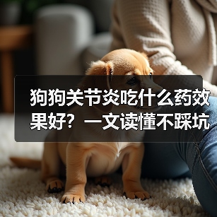 狗狗关节炎吃什么药效果好?一文读懂不踩坑(图1) 狗狗关节炎吃什么药效果好?一文读懂不踩坑(图1)