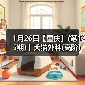 1月26日【重庆】(第125期)丨犬猫外科(高阶)班!含SUB(人人可实操)、乳糜胸等技术!(图4) 1月26日【重庆】(第125期)丨犬猫外科(高阶)班!含SUB(人人可实操)、乳糜胸等技术!(图4)