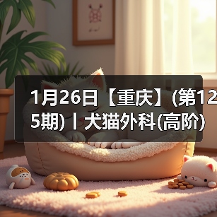 1月26日【重庆】(第125期)丨犬猫外科(高阶)班!含SUB(人人可实操)、乳糜胸等技术!(图3) 1月26日【重庆】(第125期)丨犬猫外科(高阶)班!含SUB(人人可实操)、乳糜胸等技术!(图3)