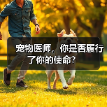 宠物医师,你是否履行了你的使命?(图3) 宠物医师,你是否履行了你的使命?(图3)