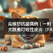 克维舒抗菌病例 | 一例犬跳蚤叮咬性皮炎(FAD)的病例分析(图1) 克维舒抗菌病例 | 一例犬跳蚤叮咬性皮炎(FAD)的病例分析(图1)