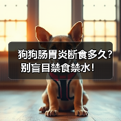 狗狗肠胃炎断食多久?别盲目禁食禁水!(图4) 狗狗肠胃炎断食多久?别盲目禁食禁水!(图4)