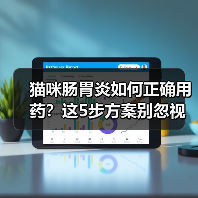 猫咪肠胃炎如何正确用药?这5步方案别忽视(图2) 猫咪肠胃炎如何正确用药?这5步方案别忽视(图2)