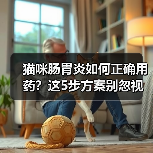 猫咪肠胃炎如何正确用药?这5步方案别忽视(图3) 猫咪肠胃炎如何正确用药?这5步方案别忽视(图3)