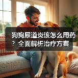 狗狗尿道炎该怎么用药?全面解析治疗方案(图1) 狗狗尿道炎该怎么用药?全面解析治疗方案(图1)