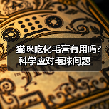 猫咪吃化毛膏有用吗?科学应对毛球问题(图2) 猫咪吃化毛膏有用吗?科学应对毛球问题(图2)