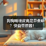 狗狗啃墙皮竟是异食癖?快自查原因!(图4) 狗狗啃墙皮竟是异食癖?快自查原因!(图4)