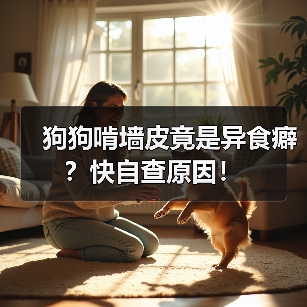 狗狗啃墙皮竟是异食癖?快自查原因!(图1) 狗狗啃墙皮竟是异食癖?快自查原因!(图1)
