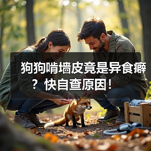 狗狗啃墙皮竟是异食癖?快自查原因!(图2) 狗狗啃墙皮竟是异食癖?快自查原因!(图2)