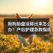 狗狗胎盘没排出来怎么办?产后护理急救指南(图3) 狗狗胎盘没排出来怎么办?产后护理急救指南(图3)