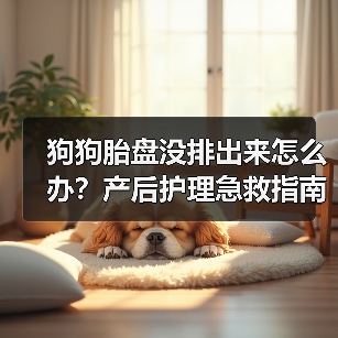 狗狗胎盘没排出来怎么办?产后护理急救指南(图1) 狗狗胎盘没排出来怎么办?产后护理急救指南(图1)