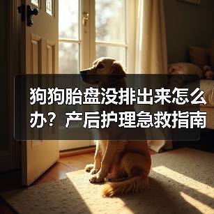 狗狗胎盘没排出来怎么办?产后护理急救指南(图4) 狗狗胎盘没排出来怎么办?产后护理急救指南(图4)